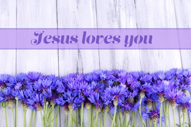 Beautiful cornflowers and text Jesus loves you