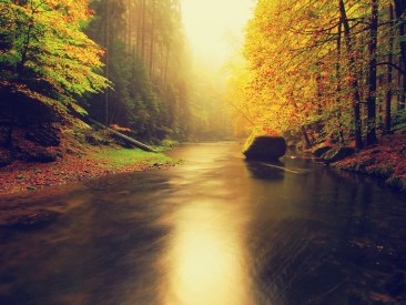Evening autumn mountain river in orange mist.