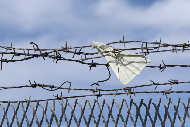 paper plane gets stuck in barbed wire